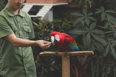 Veterinarias en Ciudad del Este | Nuevo Listado 2025