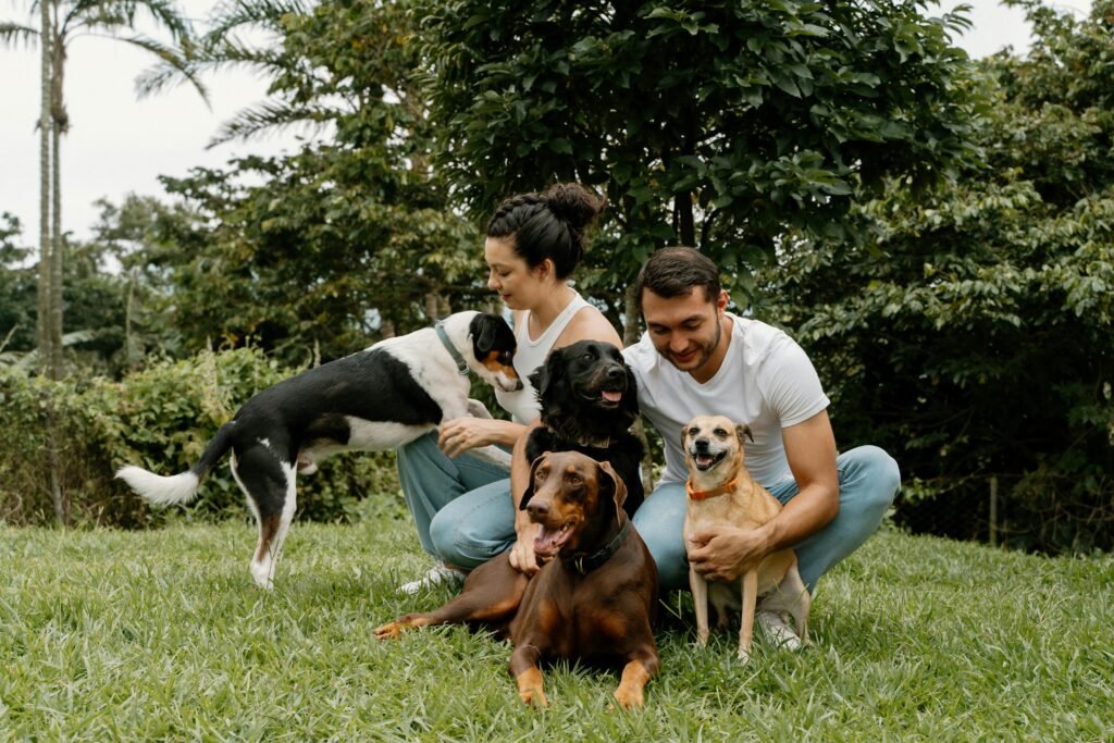 guarderías caninas en asunción