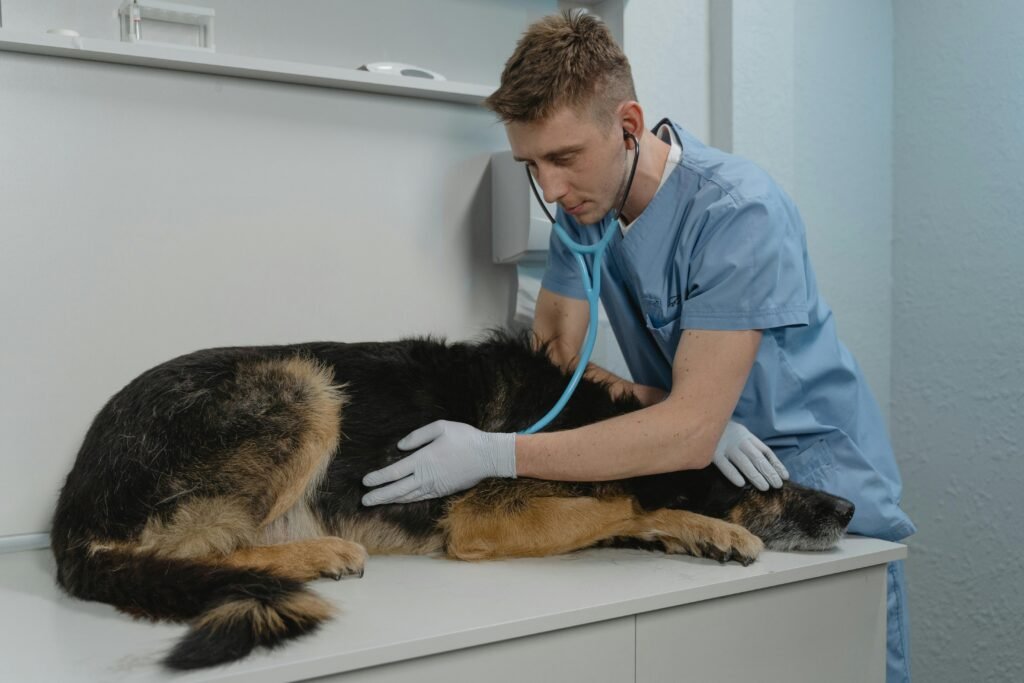 Leptospirosis